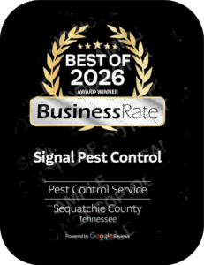 Best Pest Control Company in Sequatchie